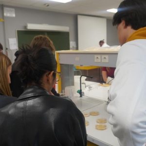 Animations du Biopôle - 50 ans UHA