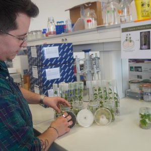 Animations du Biopôle - 50 ans UHA