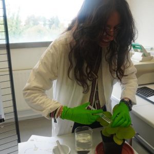 Animations du Biopôle - 50 ans UHA