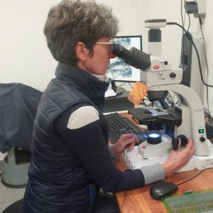 Animations du Biopôle - 50 ans UHA