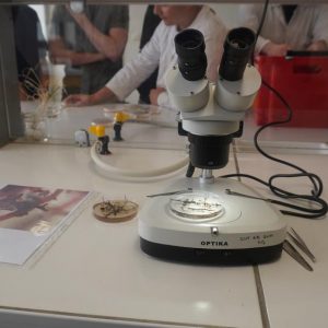 Animations du Biopôle - 50 ans UHA