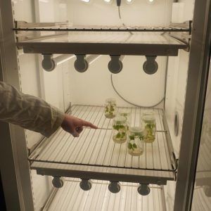 Animations du Biopôle - 50 ans UHA