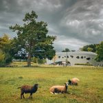 Concours photos 50 ans UHA - 7ème prix - Catherine Muller