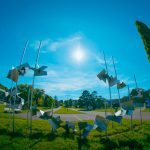 Concours photos 50 ans UHA - 17ème prix - Raoul Boiteux