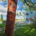 Concours photos 50 ans UHA - 27ème prix - Arnaud Soupé