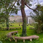 Concours photos 50 ans UHA - 36ème prix - Carole Remita